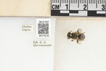Media type: image;   Entomology 774131 Aspect: Labels